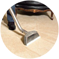 Professional Same Day Carpet Cleaning Service